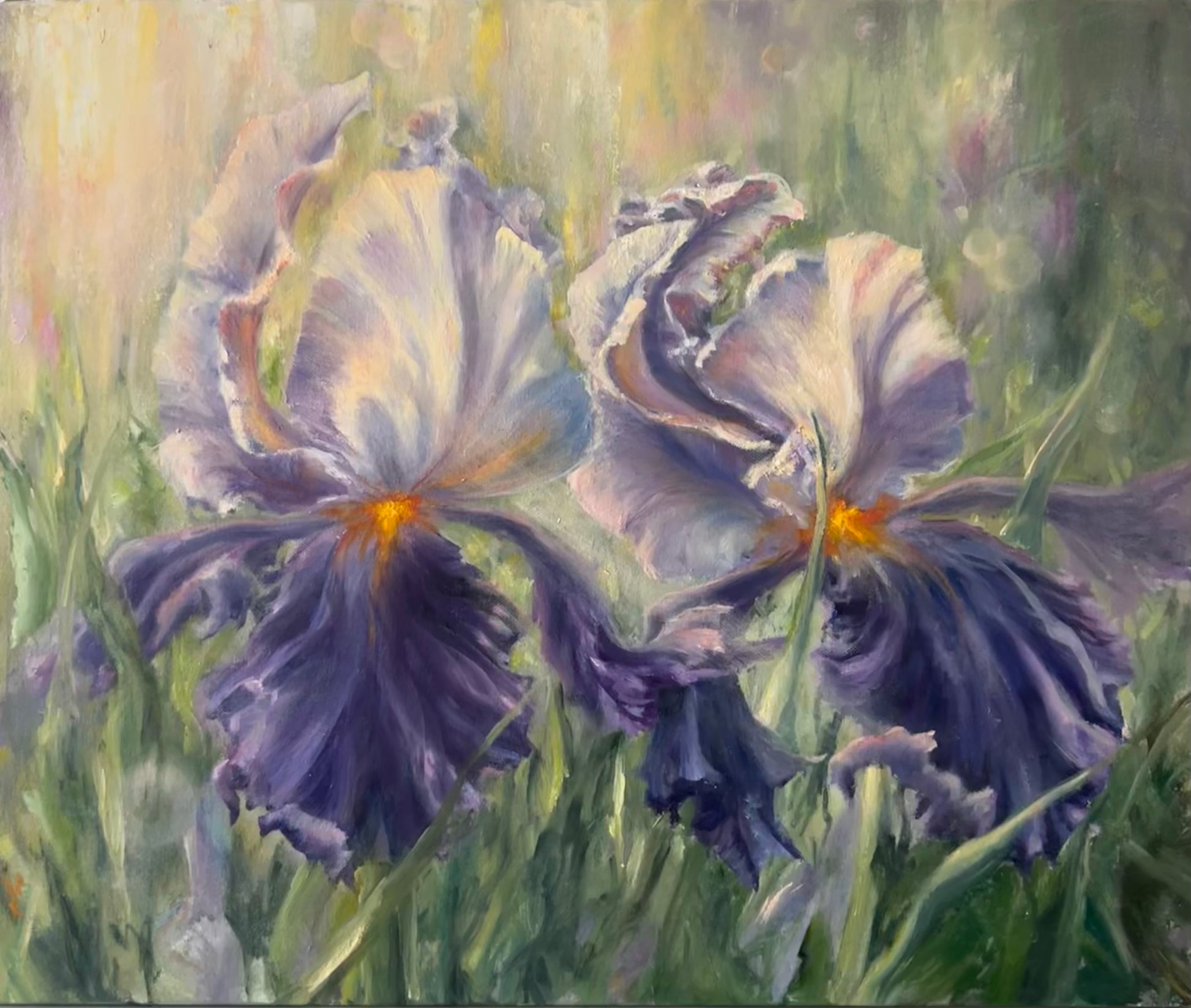 Irises oil painting. White and purple flowers in the green garden, bathing in sunlight.