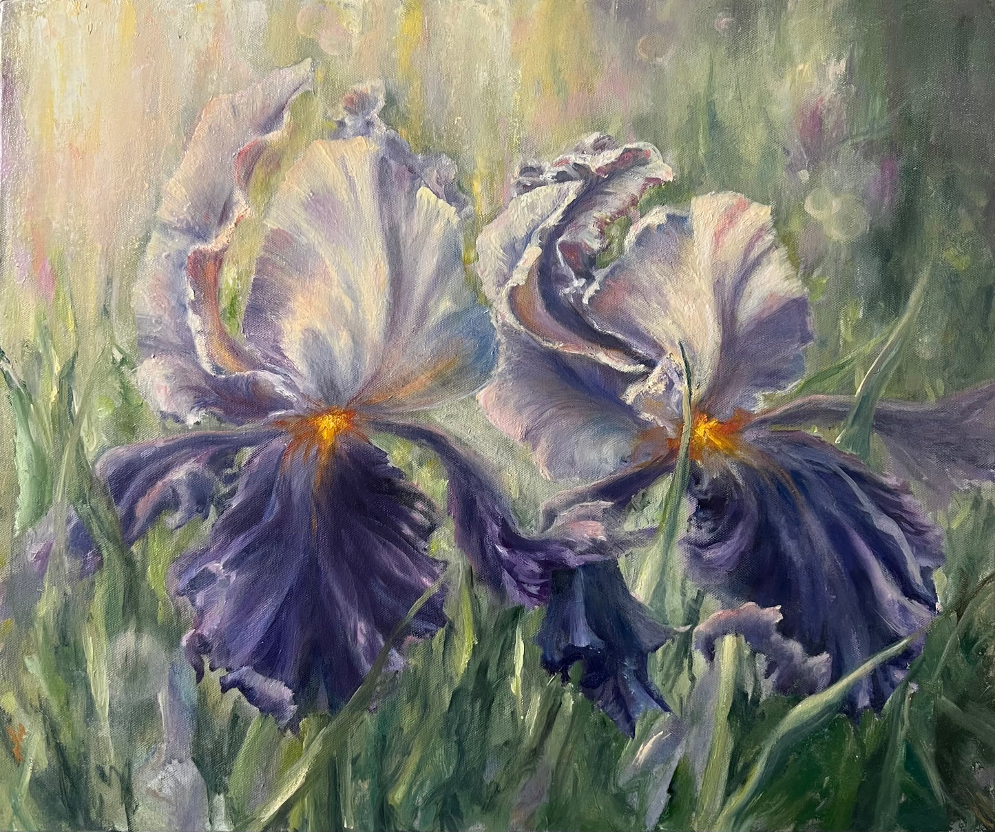 Morning Irises, 50x60 cm, original oil on canvas landscape painting