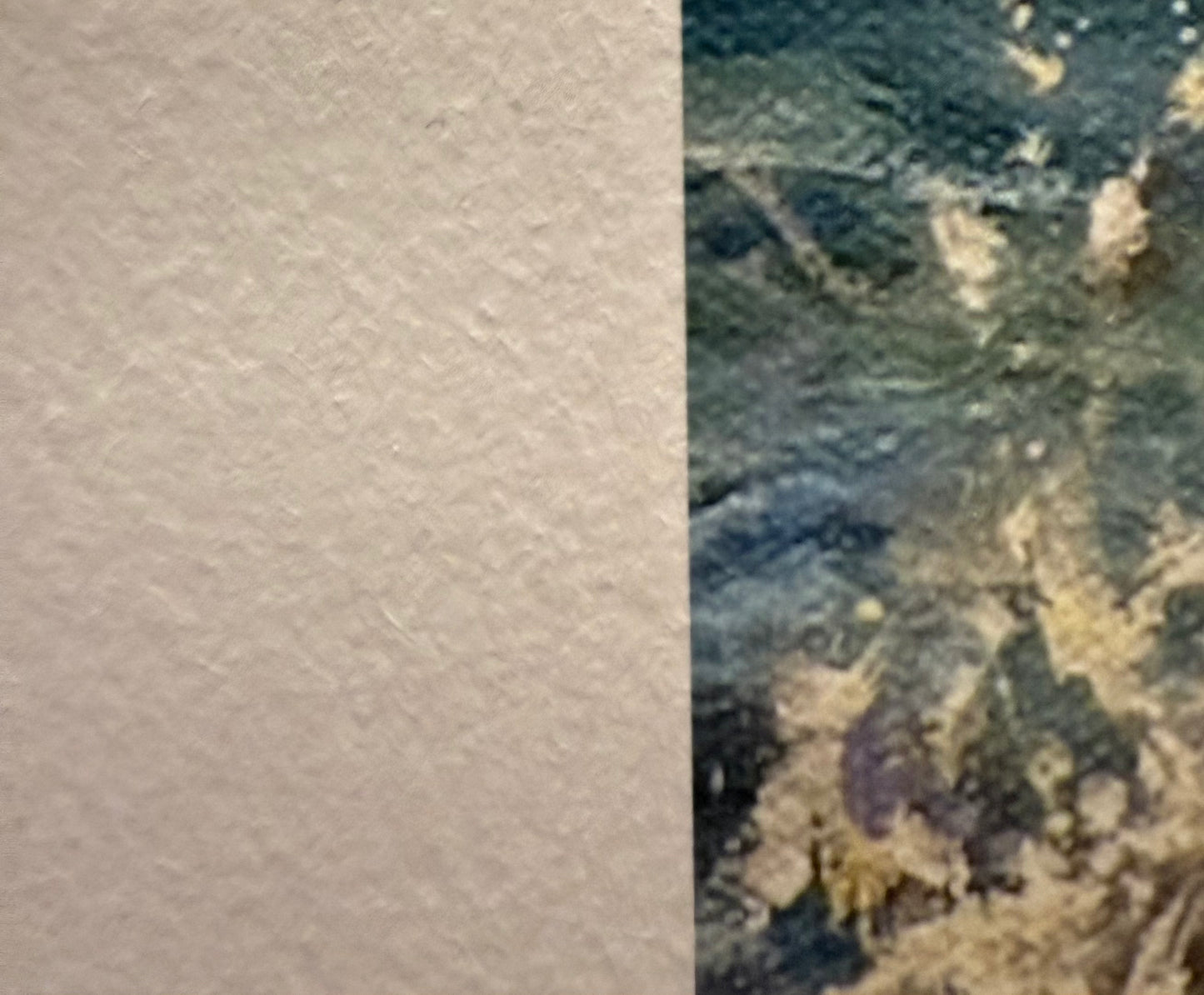 Limited edition fine art print 40x30cm- An Ocean's blessing