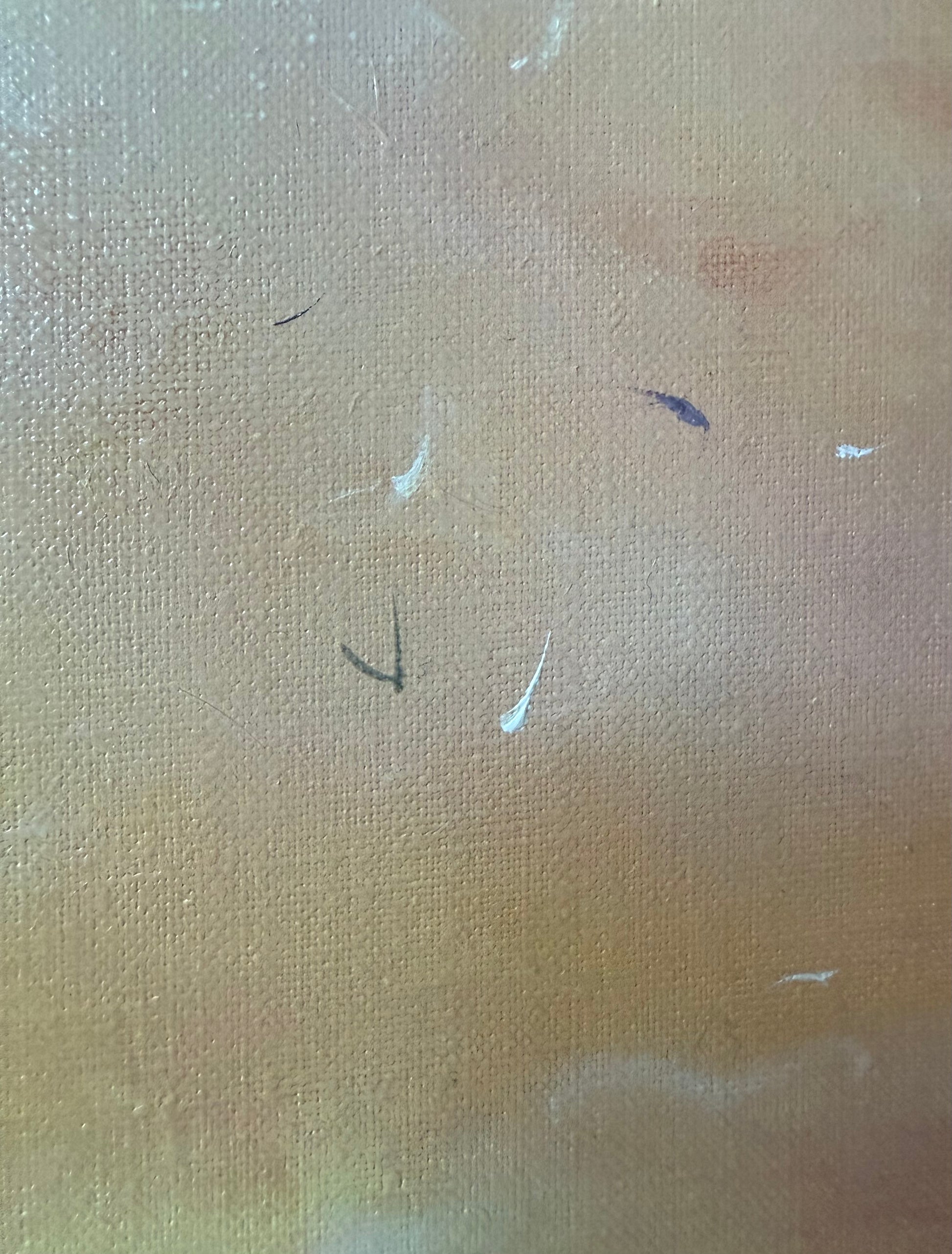 Close up of the sunset seascape, featuring flock of seagulls flying in golden misty light 