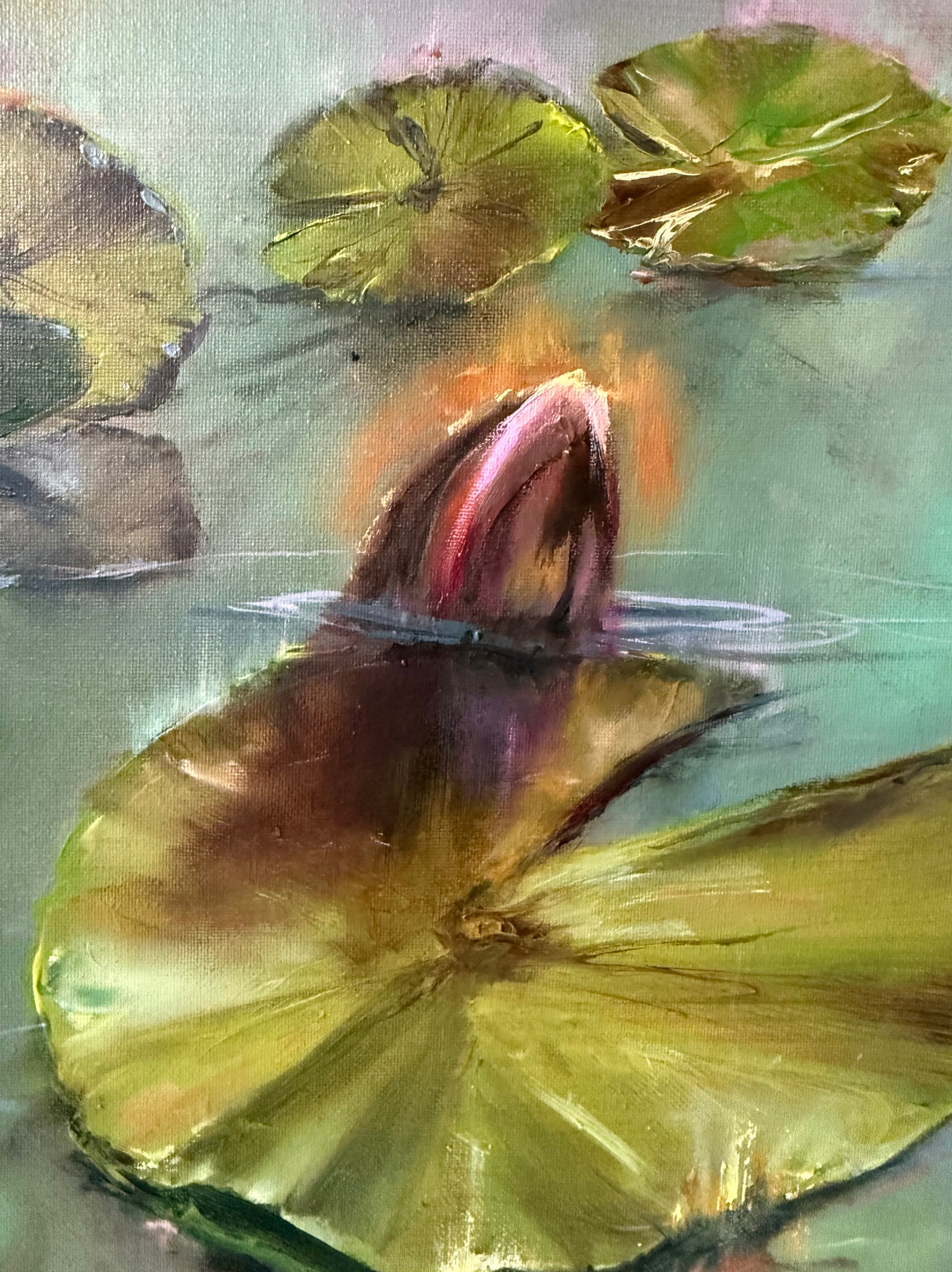 Close up of the water scape - lily pond painting at sunrise.